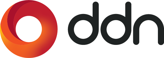 DDN Logo