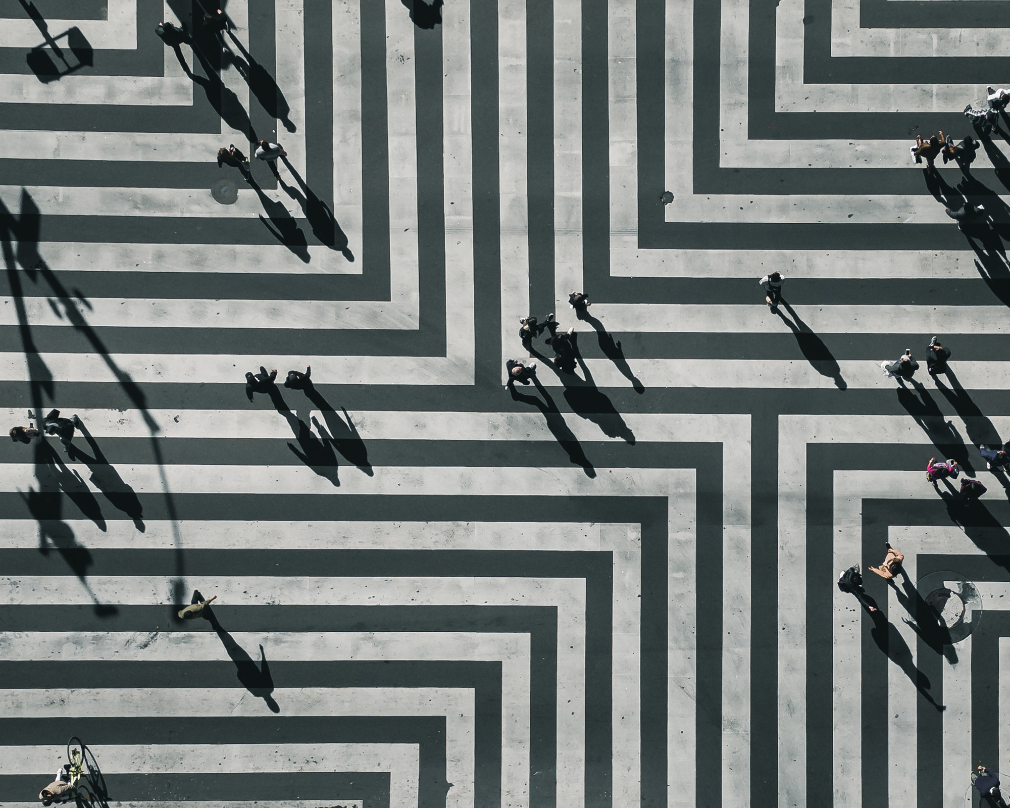 Aerial View Of People On A Crosswalk