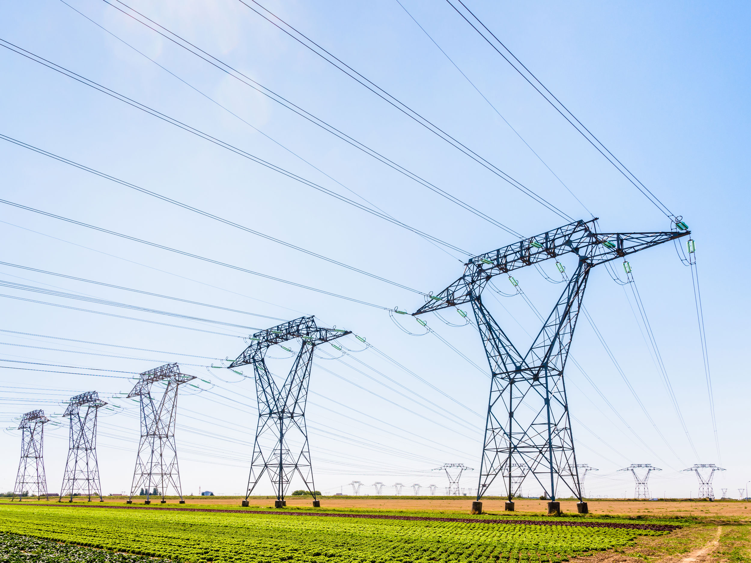 Dozens_Of_Electricity_Pylons