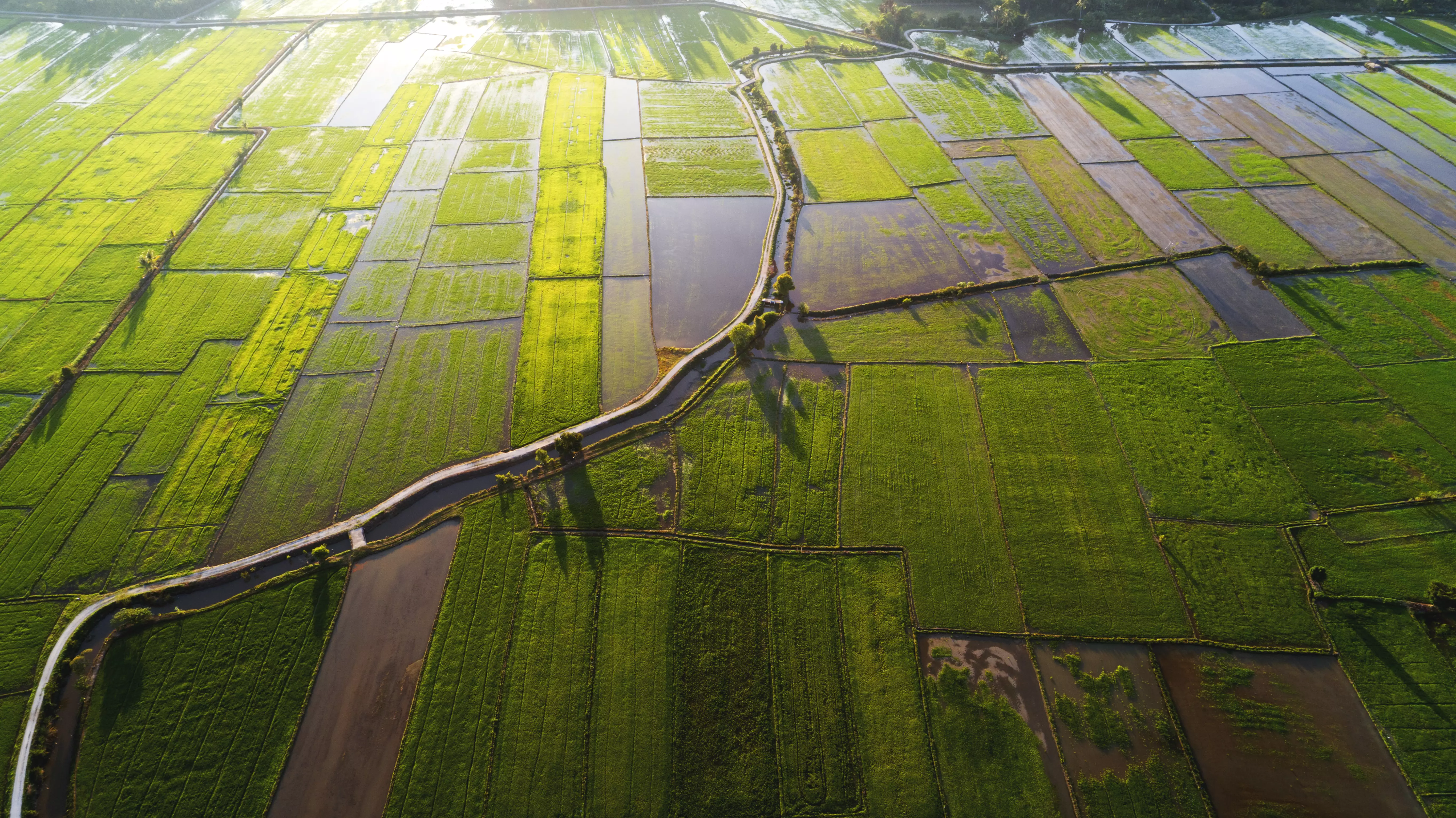 A small gravel road built across a vast farmland A small gravel road built across a vast farmland