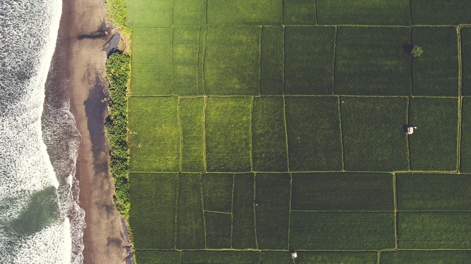 Farm_Near_Cliff_Aerial Nature Landscape With Growing Food