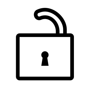 Security icon