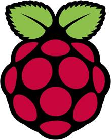 Raspberry Pi Foundation Logo